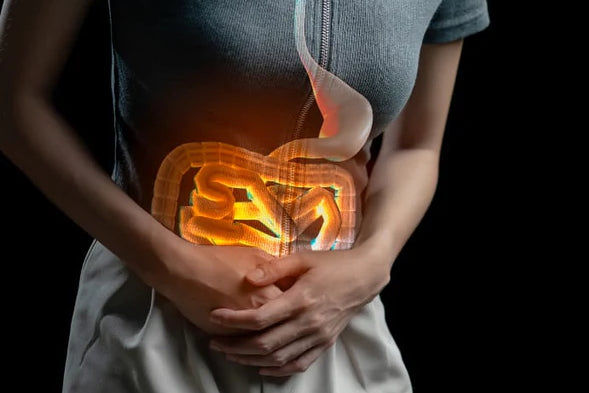 L’importance du microbiote pour l’équilibre de votre écosystème intestinal