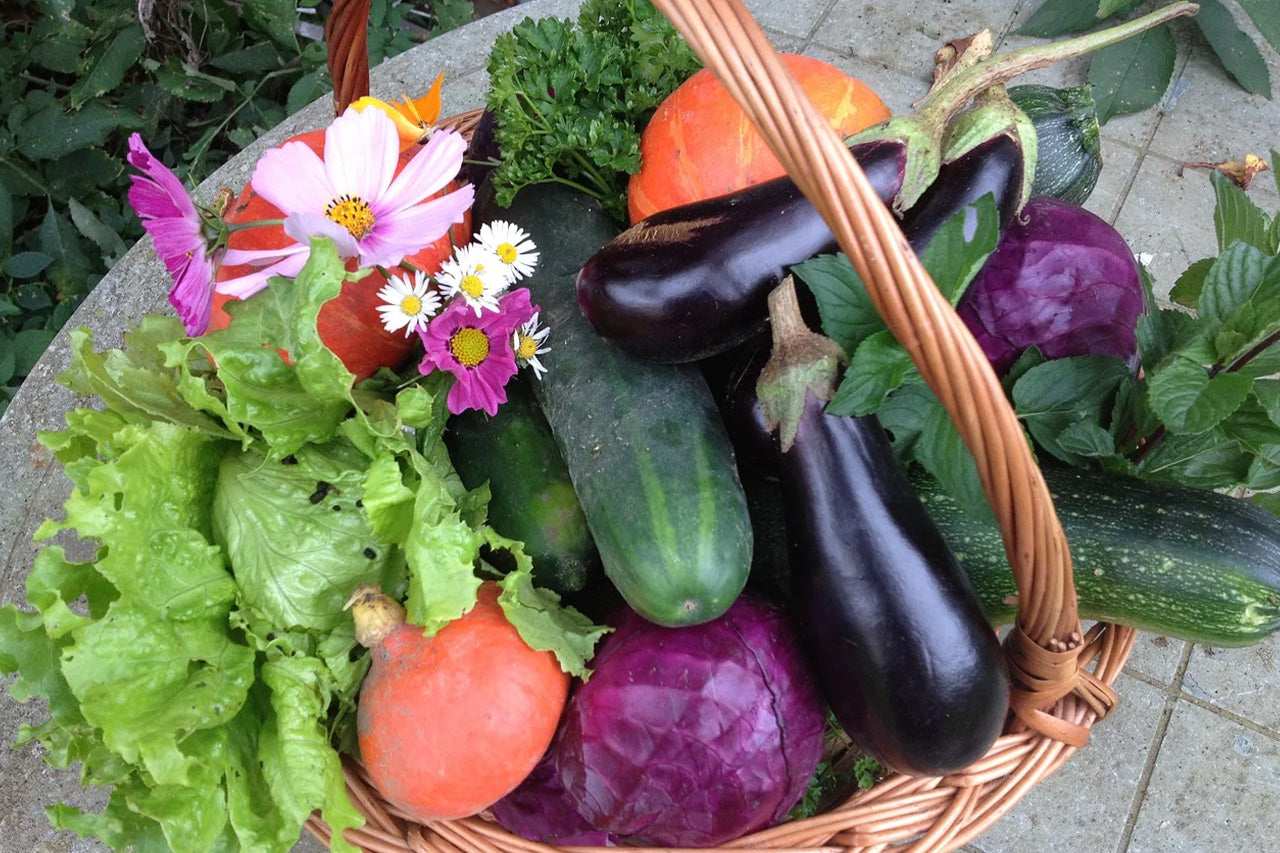 alimentation du sportif
