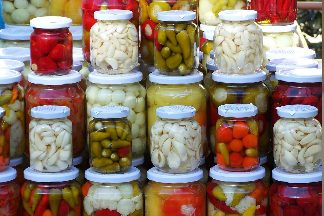 aliments fermentés