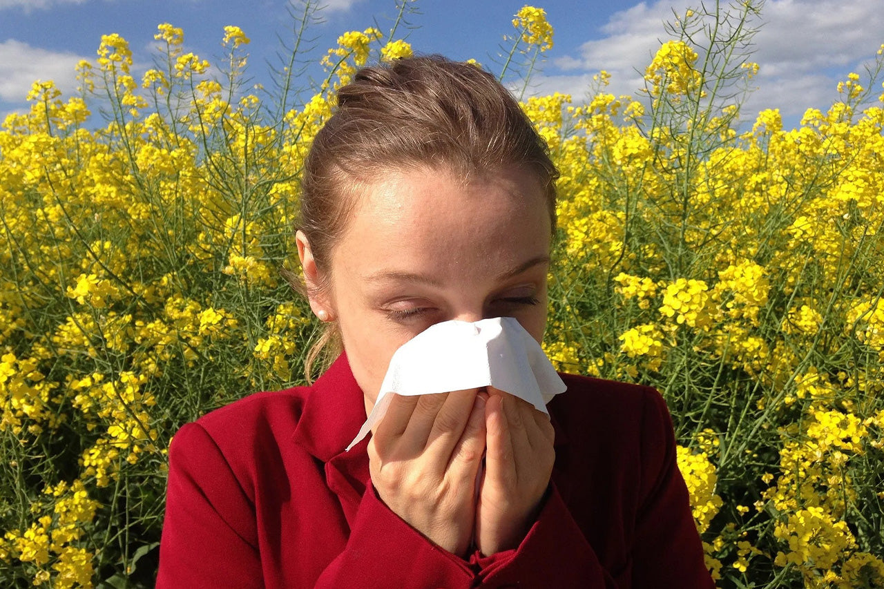 allergie au pollen équilibre microbiote