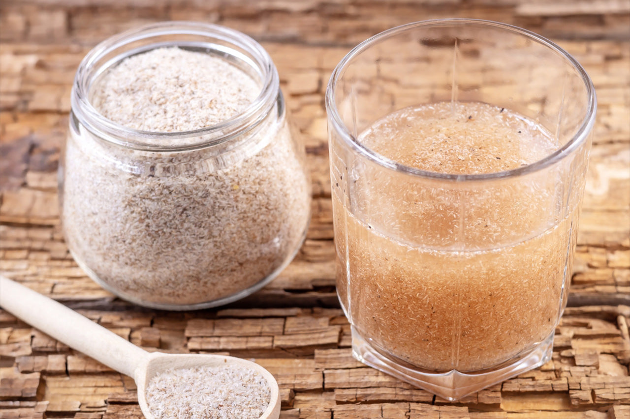 psyllium bienfaits