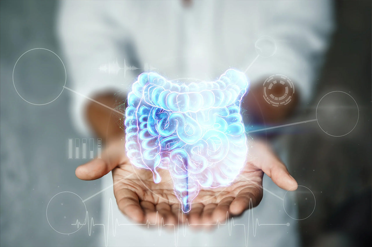 prébiotiques et probiotiques : actions sur le microbiote intestinal