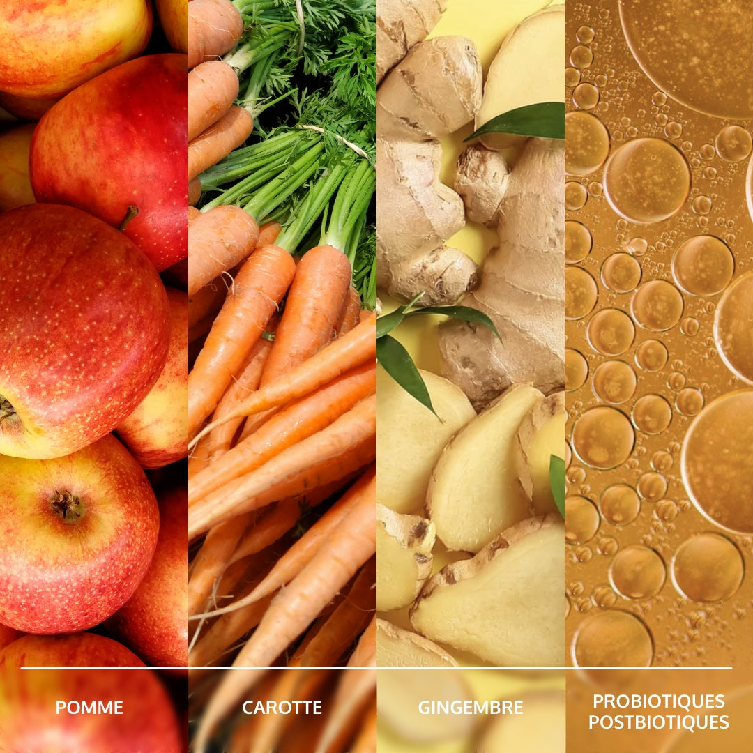 Ingrédients naturels - cure probiotiques - Inconforts digestifs - ballonnements - SII