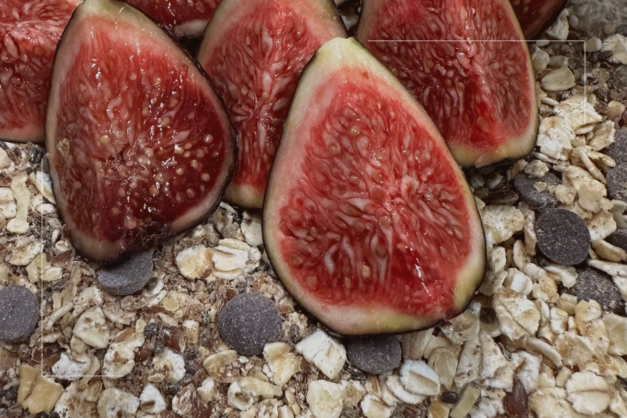 Pudding de chia aux figues et porridge au reishi